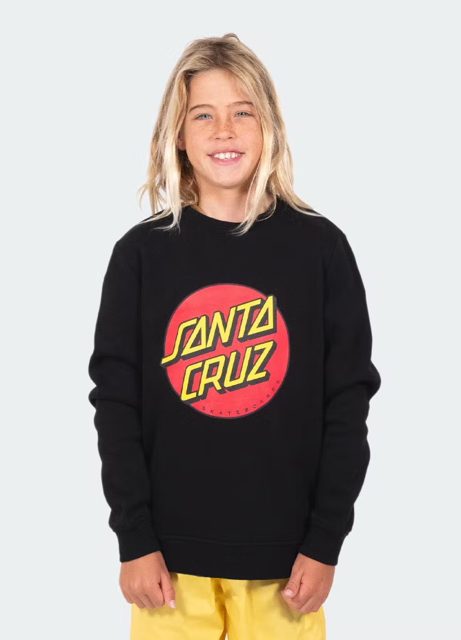 Santa cruz crew neck sweater sales