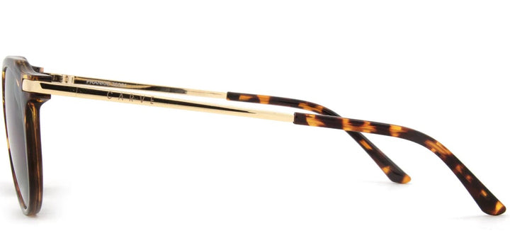 Carve Frankie Gloss Tort/Gold Metal