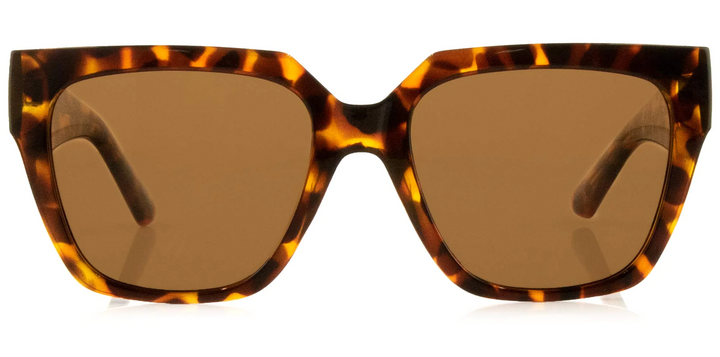 Carve Brooklyn Tort