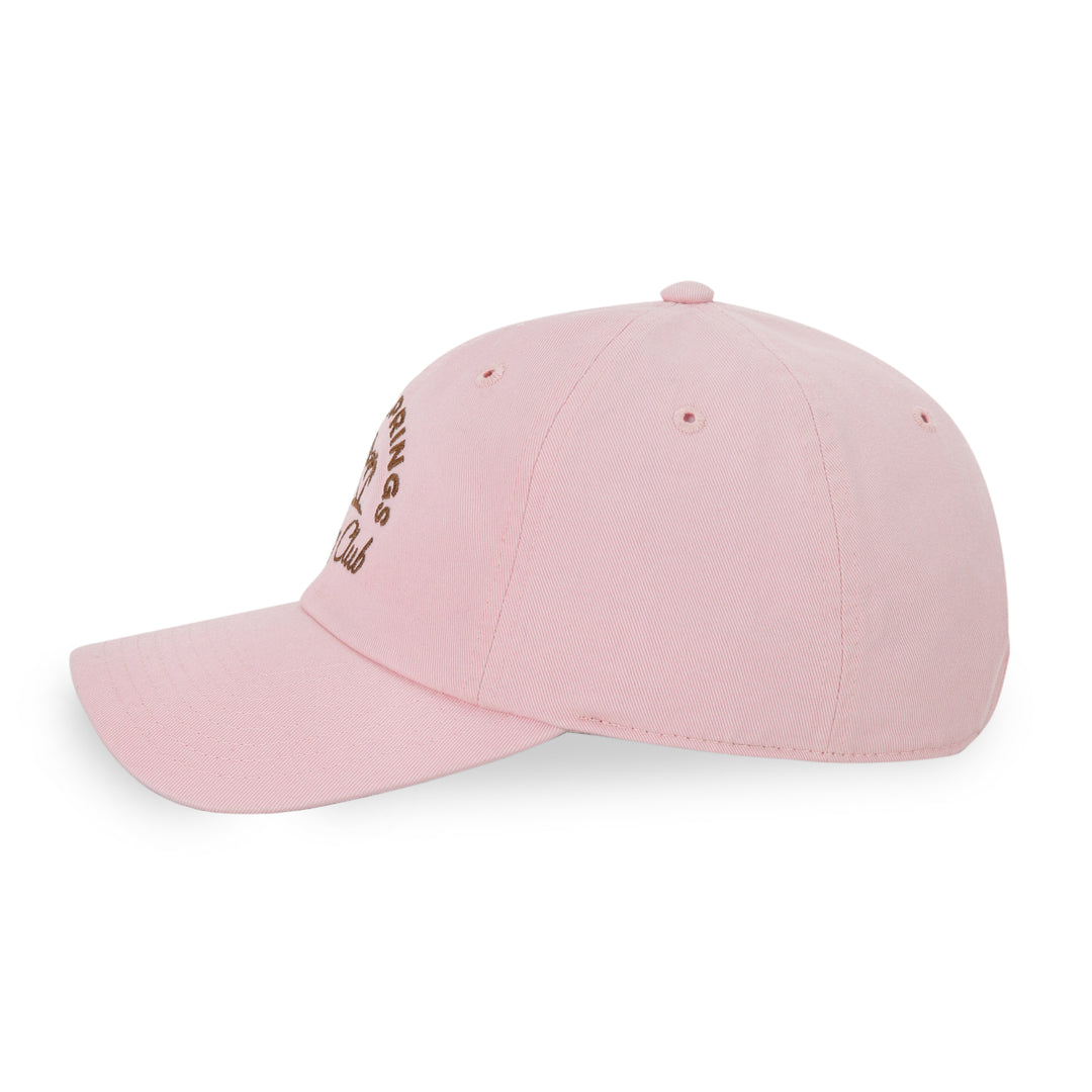 American Needle Palm Spring Day Club Ball Park Cap