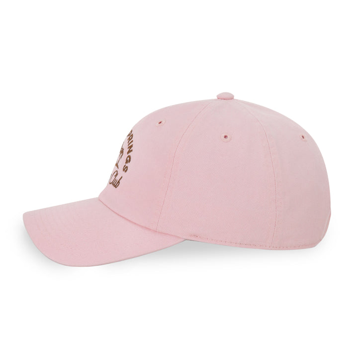 American Needle Palm Spring Day Club Ball Park Cap