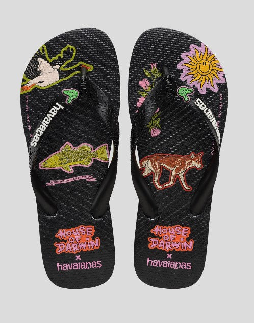 Havaianas Top House of Darwin