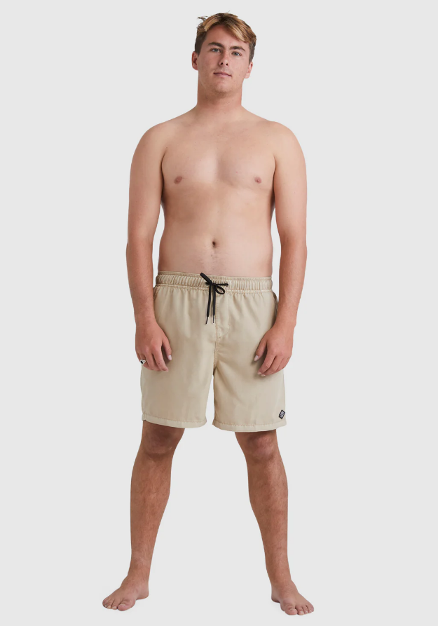 Billabong All Day Layback Chino