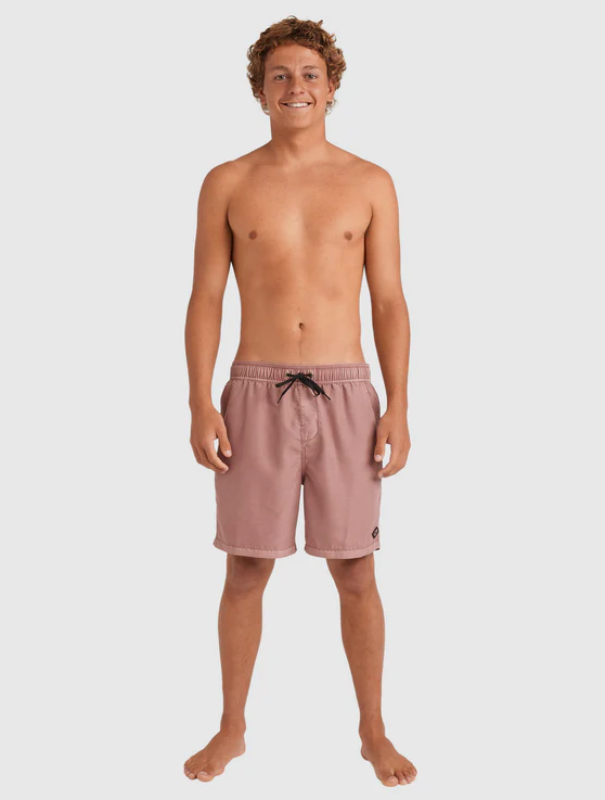 Billabong All Day OVD Layback Dusty Rose