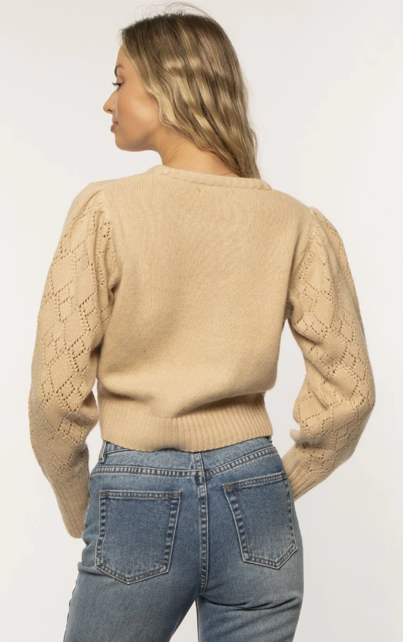 Amuse Society Noha Ls Sweater