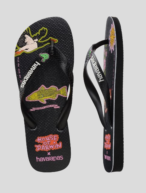 Havaianas Top House of Darwin