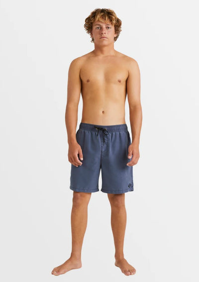 Billabong All Day OD Dusty Navy