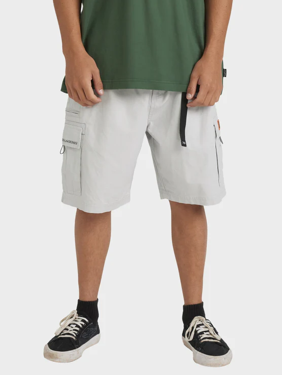 Billabong Spec 73 Cargo