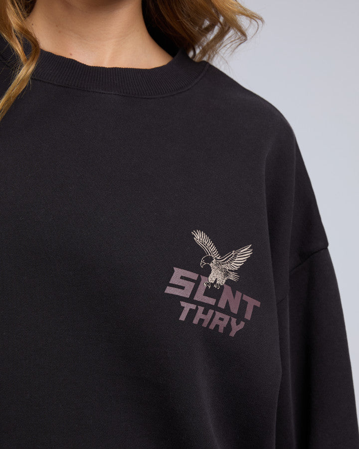 Silent Theory Soar Now Crew