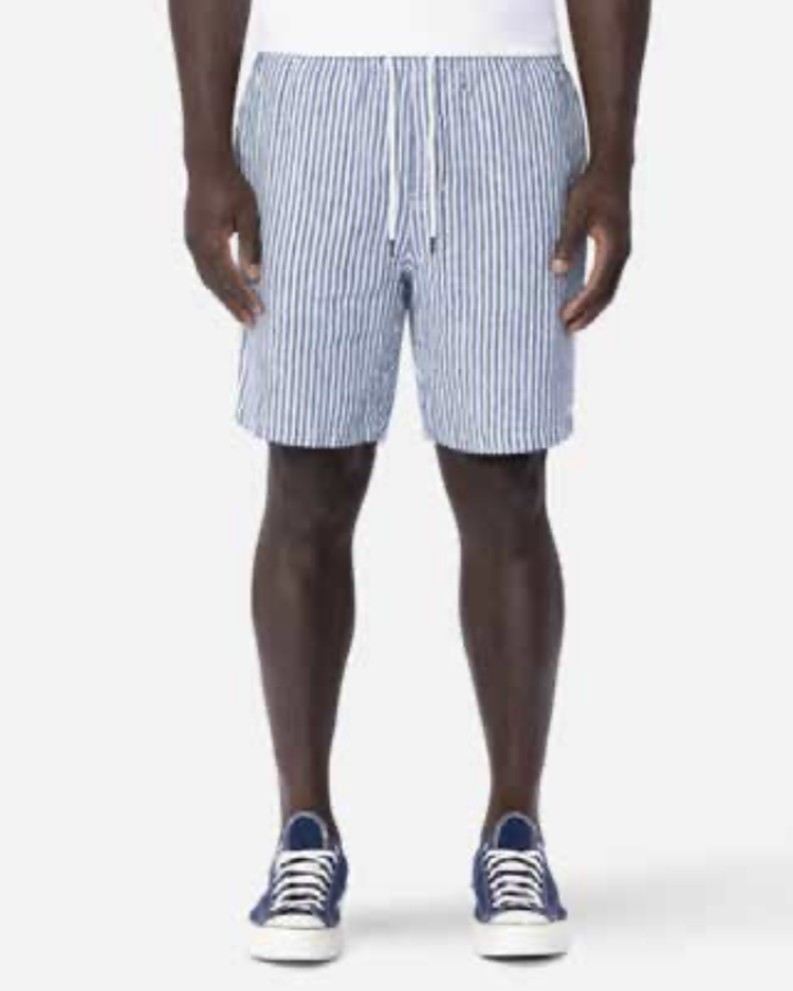 Silent Theory Stripe Linen Short