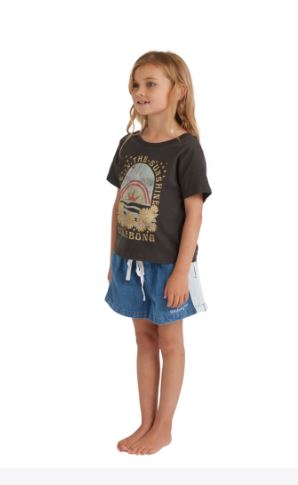 Billabong Endless Summer Tee