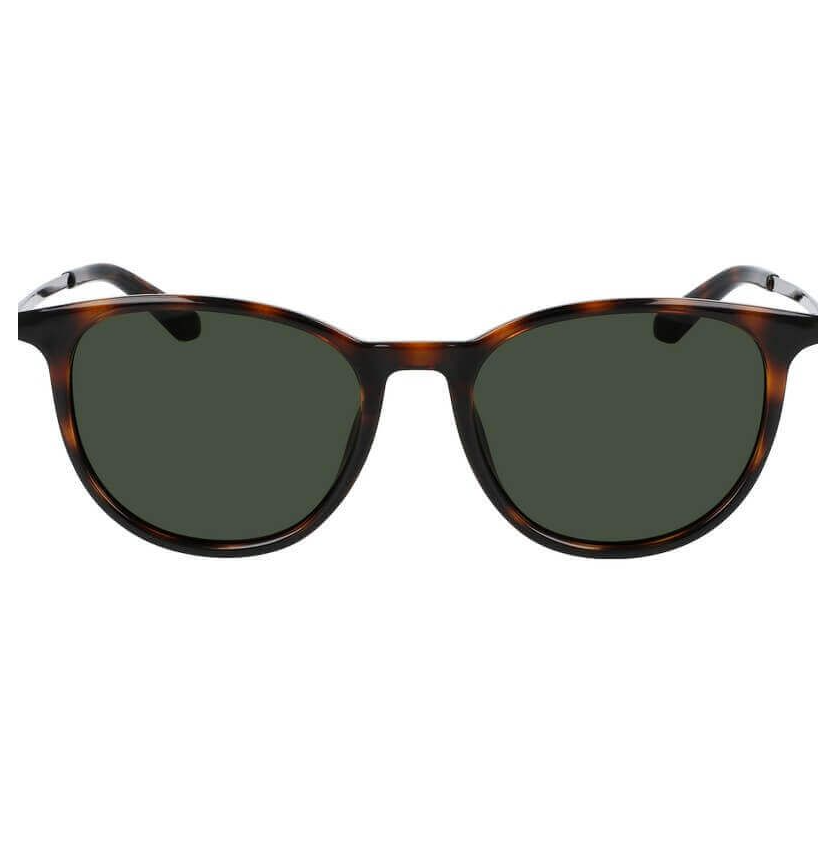 Dragon Billie Tortoise/LL