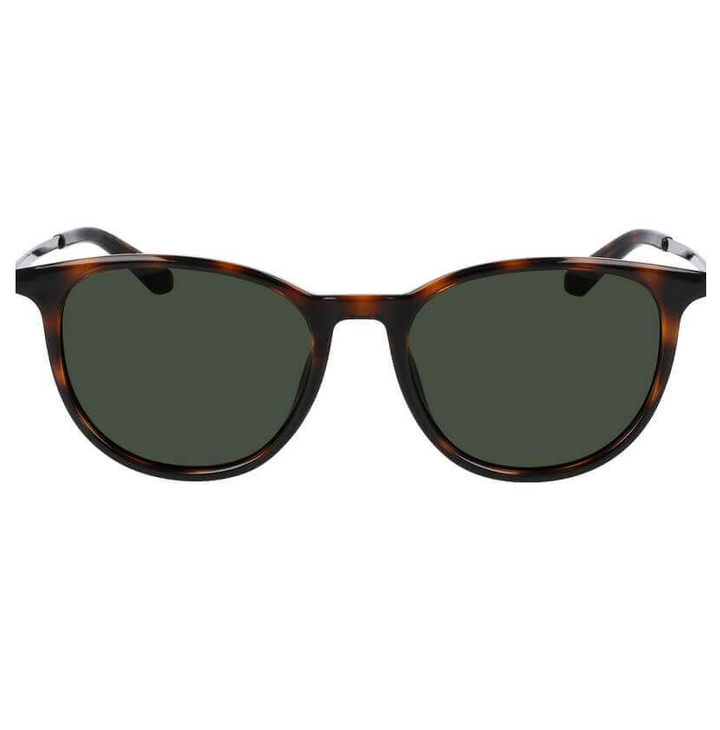 Dragon Billie Tortoise/LL