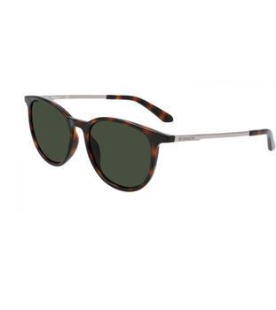 Dragon Billie Tortoise/LL