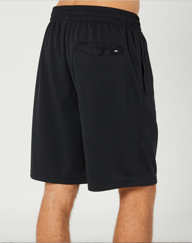 Nike SB Mens Sunday Short