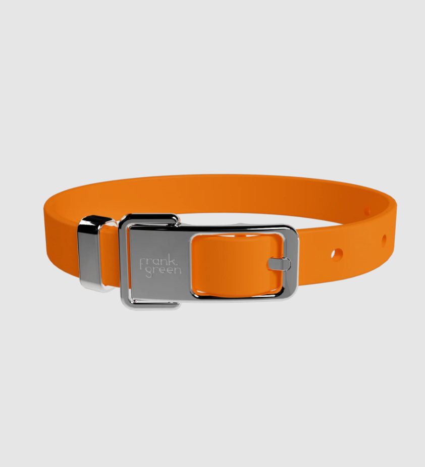 Frank Green Medium Collar