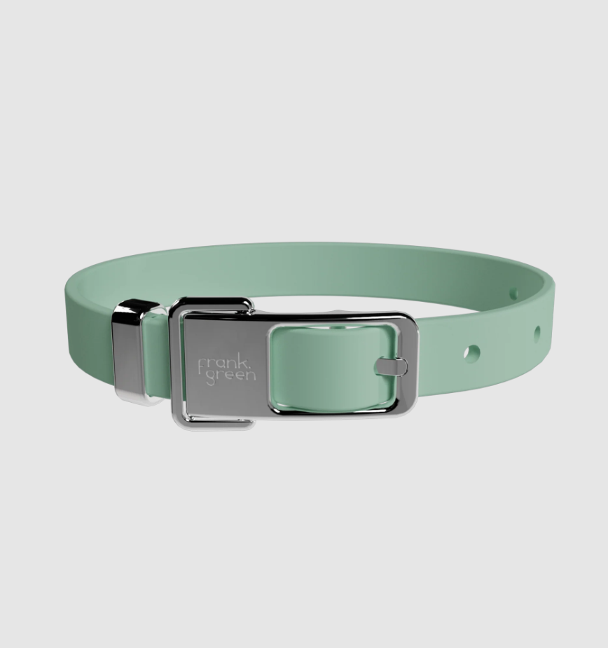 Frank Green Medium Collar