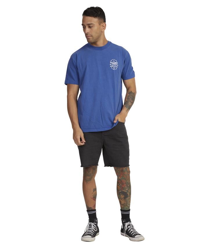 RVCA Coexist SS Tee