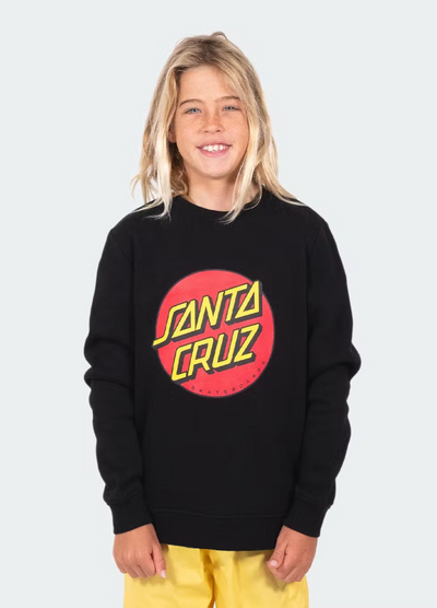 Santa Cruz Classic Dot Front Sweater